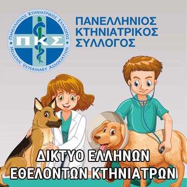 εθελοντές