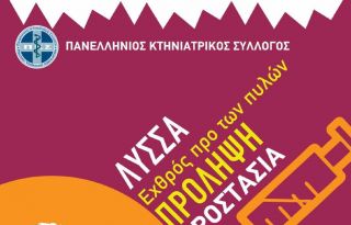 εικόνα άρθρου