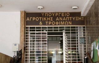 εικόνα άρθρου