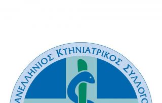 εικόνα άρθρου