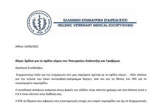 εικόνα άρθρου