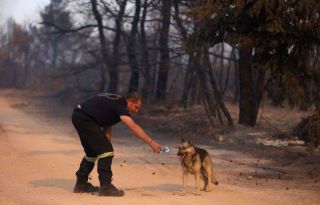 εικόνα άρθρου