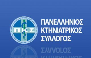 εικόνα άρθρου