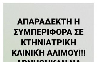 εικόνα άρθρου