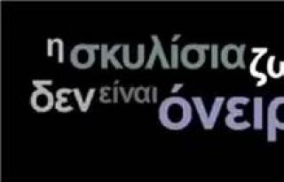 εικόνα άρθρου