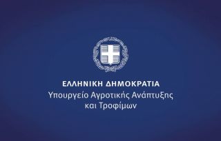 εικόνα άρθρου