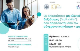 εικόνα άρθρου