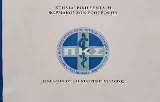 εικόνα άρθρου