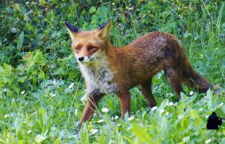 εικόνα άρθρου