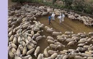 εικόνα άρθρου