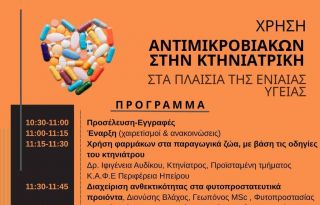 εικόνα άρθρου