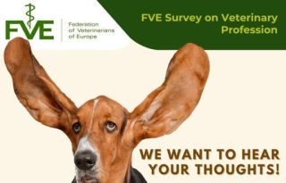 εικόνα άρθρου