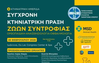 εικόνα άρθρου