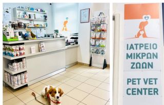 εικόνα άρθρου