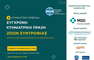 εικόνα άρθρου