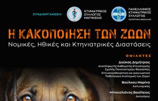 εικόνα άρθρου