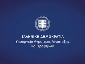 εικόνα άρθρου