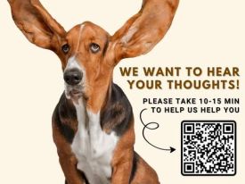 εικόνα άρθρου