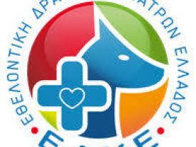 εικόνα άρθρου