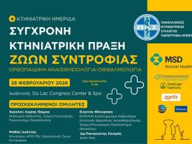 εικόνα άρθρου