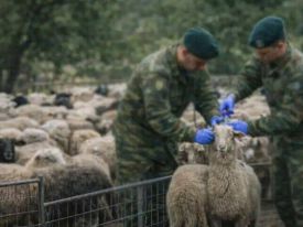 εικόνα άρθρου