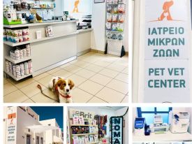 εικόνα άρθρου